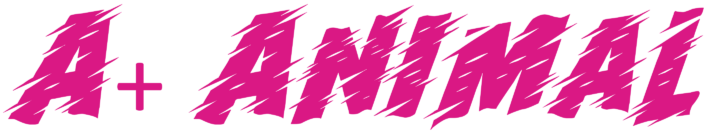 Text reading A+ ANIMAL in a bold, jagged font with a bright pink color evokes the vibrant and dynamic style often found in cutting-edge IT services. The letters, with their rough edges, mirror the innovative edge of top-notch IT support solutions.